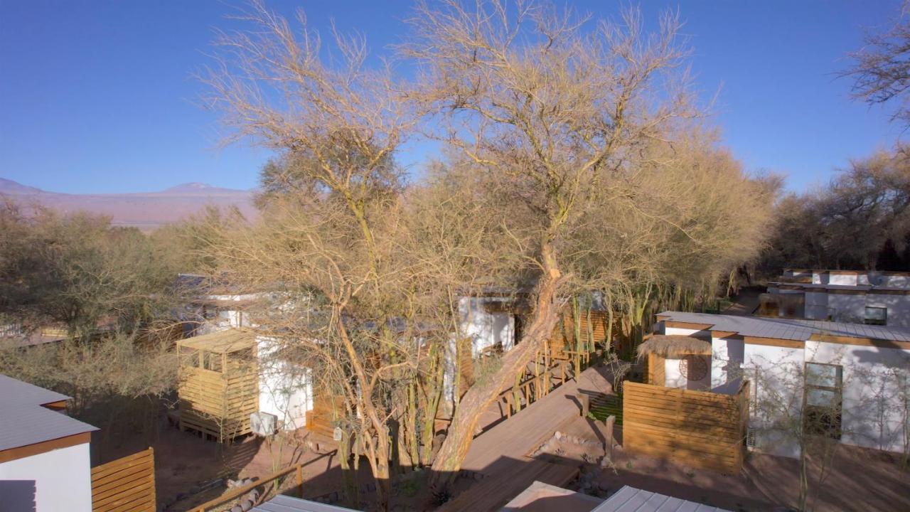 Lodge Quelana San Pedro de Atacama Eksteriør billede